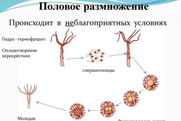 Модератор на кракене