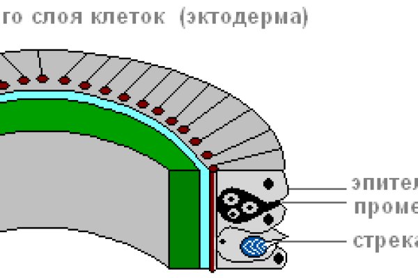 Kra33cc