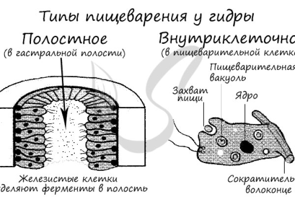 Сайт кракен гидра