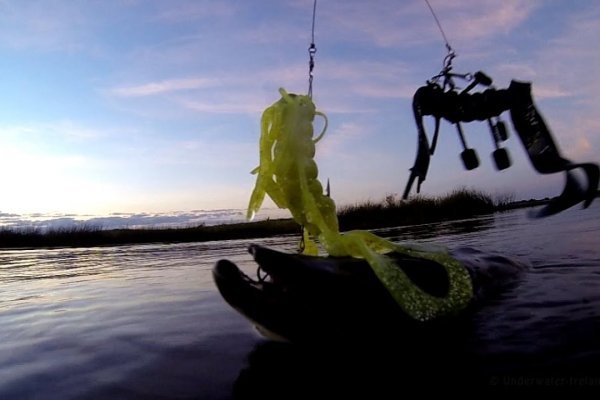 Kraken 17at
