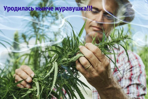 Что такое кракен шоп