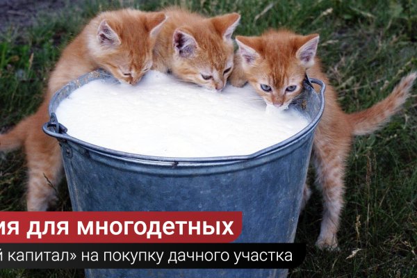 Сайты с наркотой